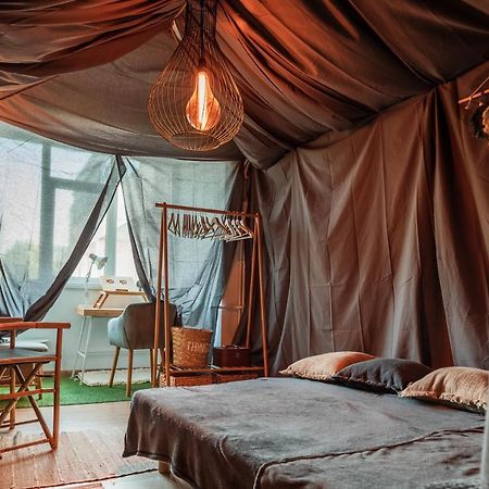 Jungle Apartment 15 Min Walk To Beach & Downtown 콘스탄차 외부 사진