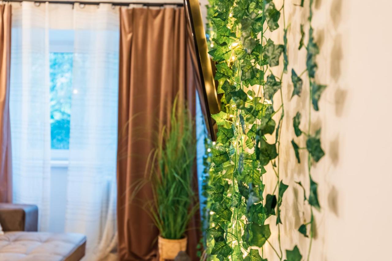 Jungle Apartment 15 Min Walk To Beach & Downtown 콘스탄차 외부 사진