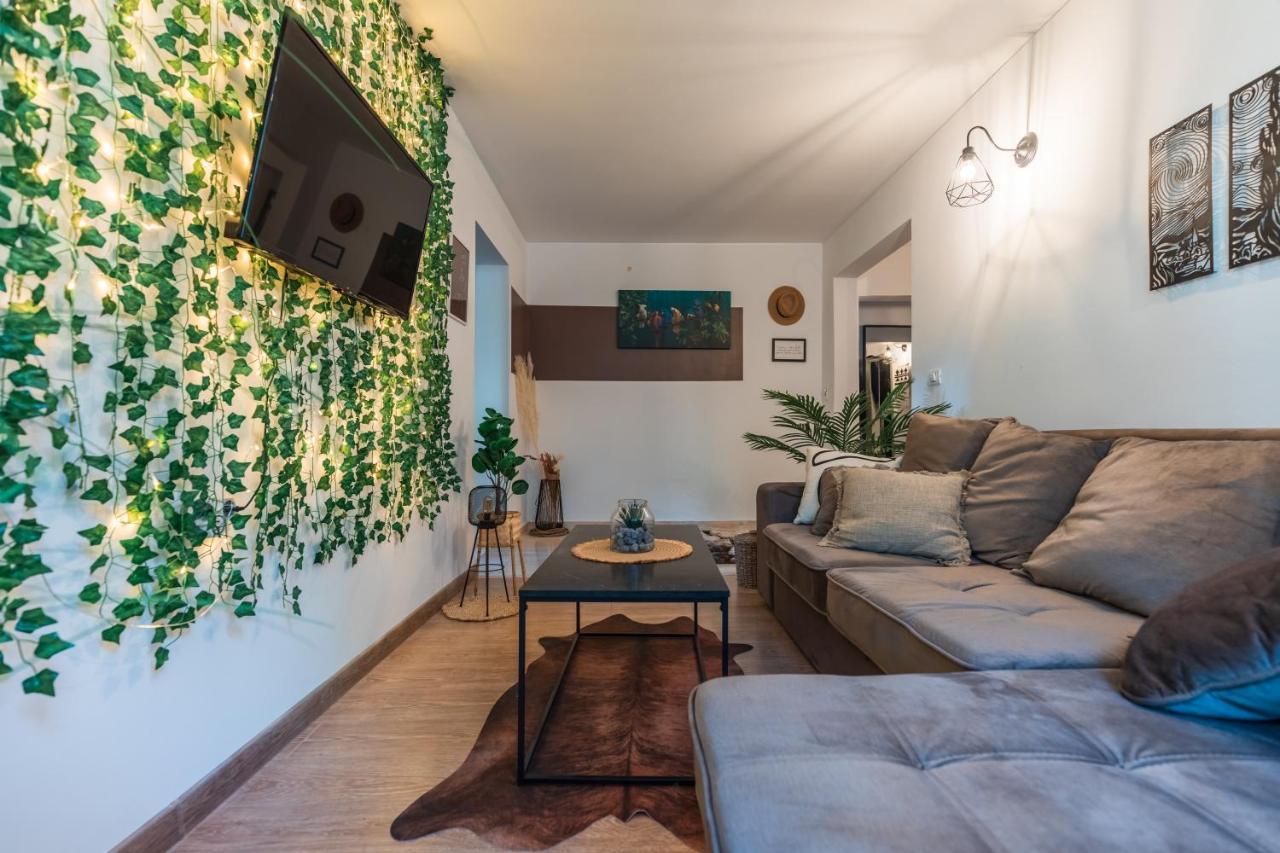 Jungle Apartment 15 Min Walk To Beach & Downtown 콘스탄차 외부 사진