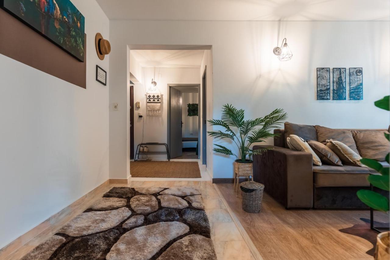 Jungle Apartment 15 Min Walk To Beach & Downtown 콘스탄차 외부 사진